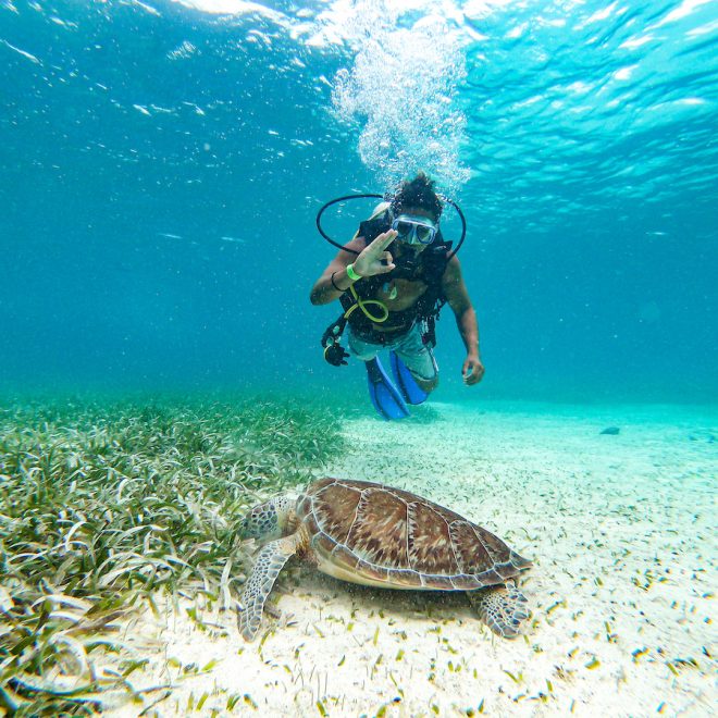 Hol Chan Marine Reserve