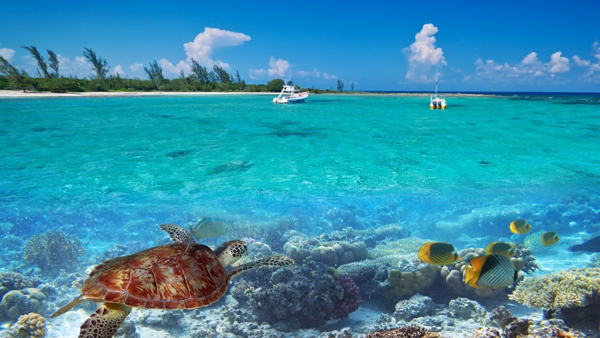 Cayo Ambergris Belice