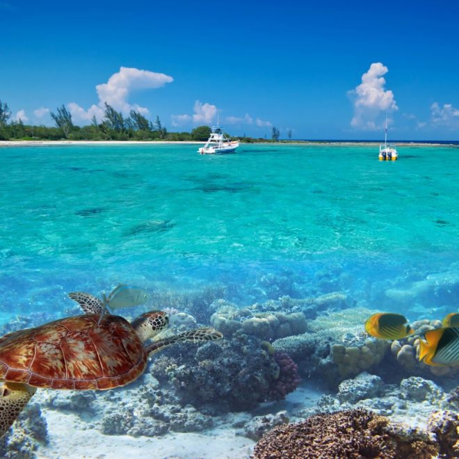 Cayo Ambergris Belice